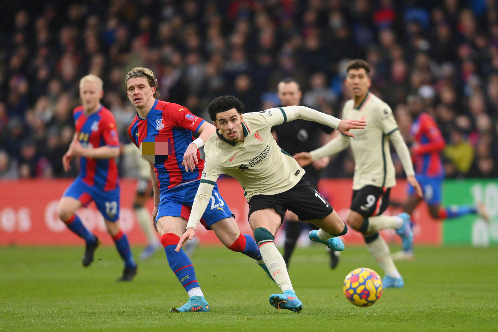 重点投注高 重点投注高