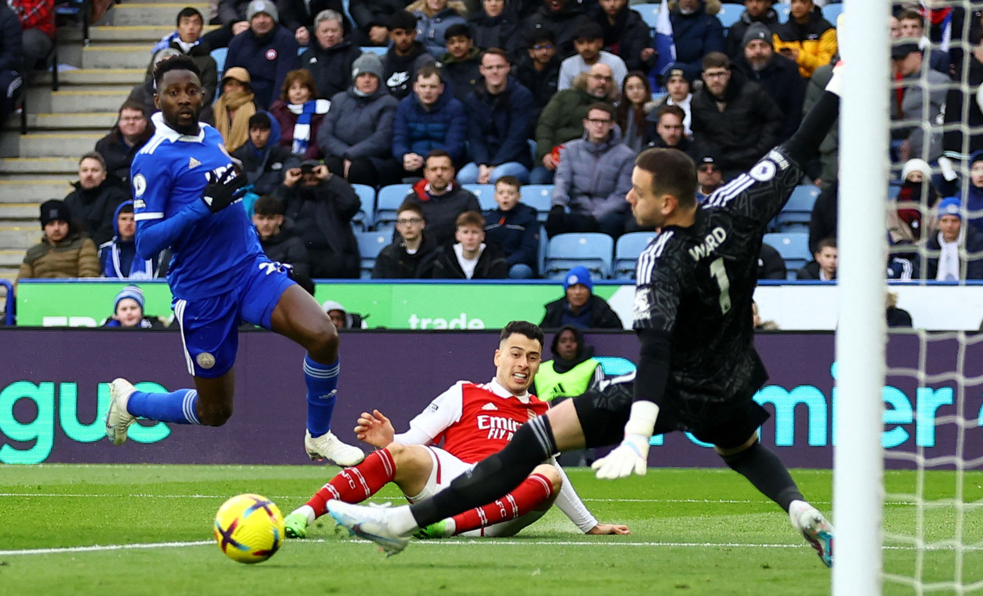 瓦基雄鹿的 瓦基雄鹿的